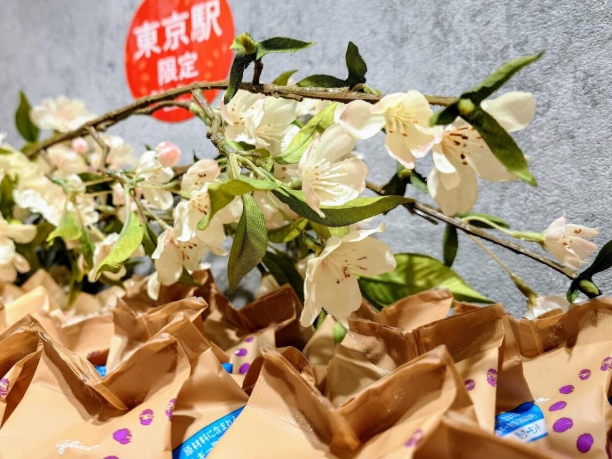 東京都千代田区・アーモンド専門店「Glico ALMOND DAYS」アーモンドの花のディスプレイ