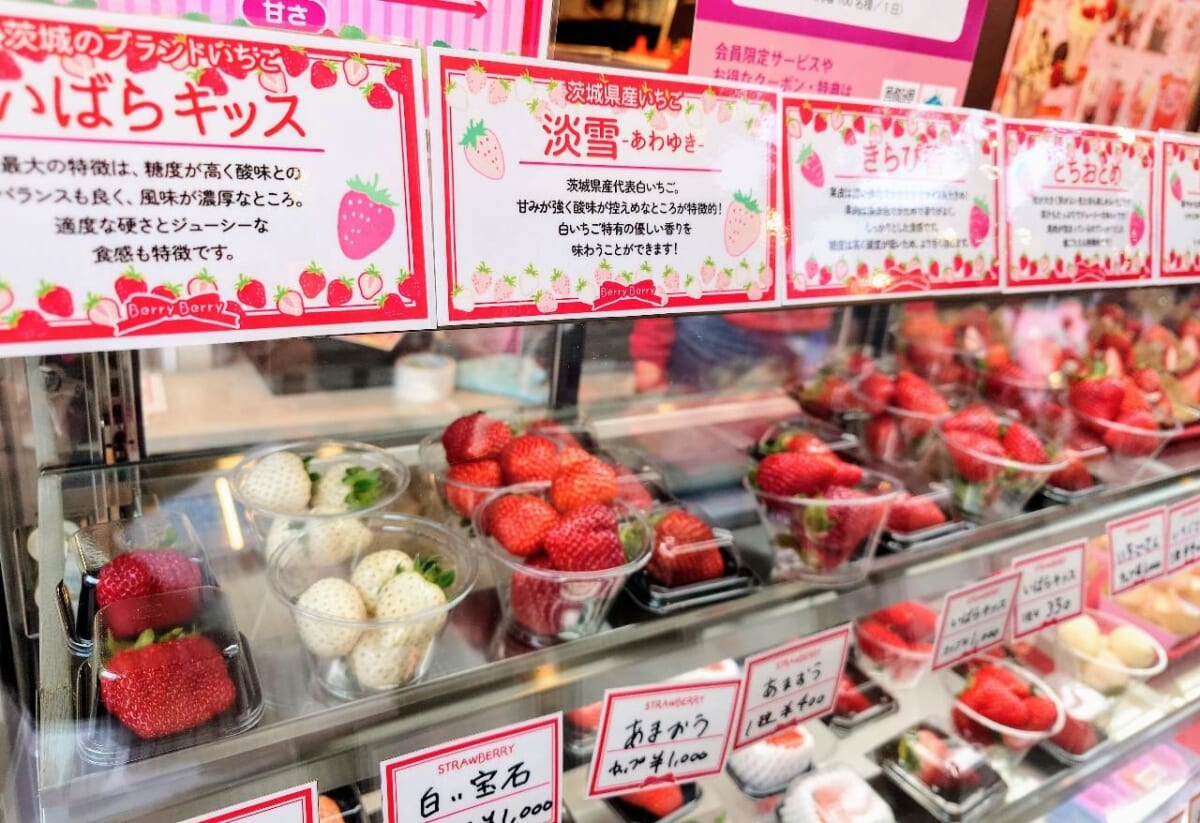 神奈川県横浜市・横浜赤レンガ倉庫「Yokohama Strawberry Festival 2024」Berry Berry（ショーケース）