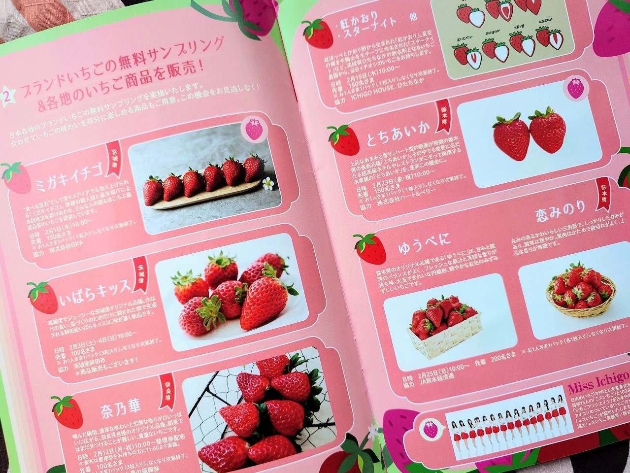 神奈川県横浜市・横浜赤レンガ倉庫「Yokohama Strawberry Festival 2024」パンフレット