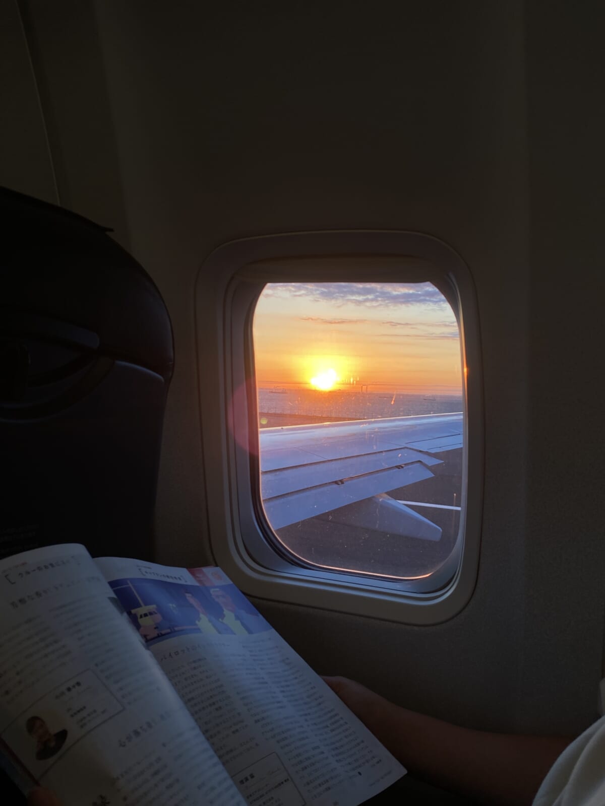 JAL早朝便。機内からの眺め