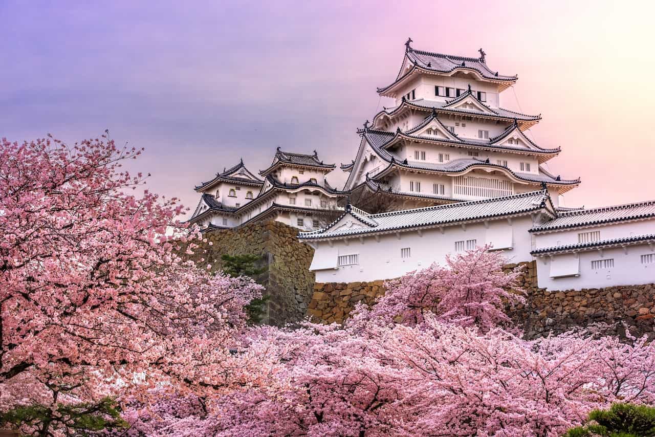 兵庫県「姫路城」と桜