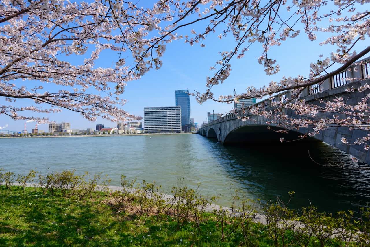 新潟県・萬代橋（ばんだいばし）と桜