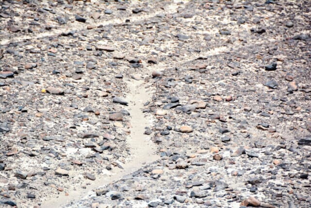 ナスカの地上絵を描く輪郭線