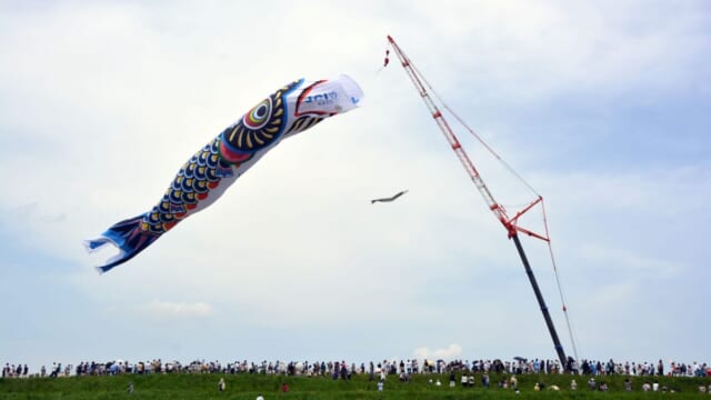 埼玉県のGWイベント】日本一！重さ約330キロのジャンボこいのぼりが空