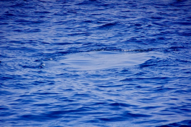 浮かぶ前　波の模様