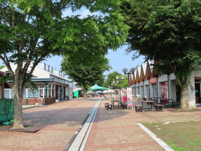 道の駅 うつのみや ろまんちっく村