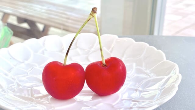 知る人ぞ知る青森のハート型高級さくらんぼ「ジュノハート」はどこで