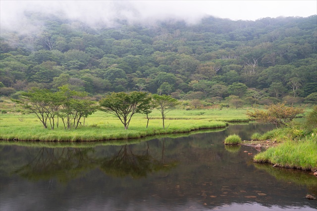 赤城山　覚満淵