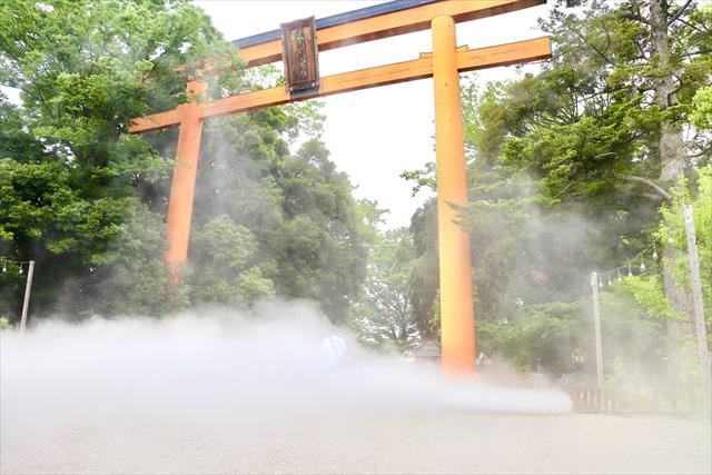 大鳥居の雲海