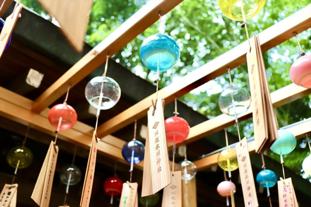 【カラフルな風鈴が彩る縁結び神社】川越氷川神社で「縁むすび風鈴」開催中！美麗なライトアップも必見｜埼玉県川越市