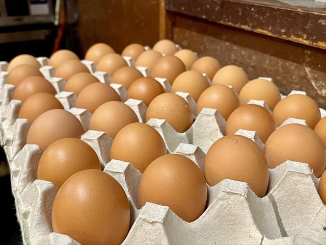 青梅市の新鮮な卵