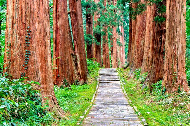 【山形県屈指の名スポット・羽黒山】出羽三山神社・五重塔や龍神伝説など神秘的な見どころ4選をご紹介！