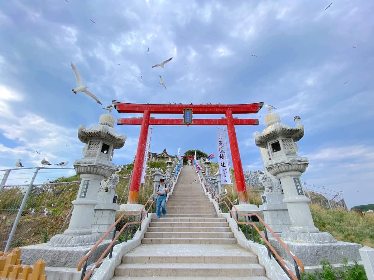 青森県八戸市鮫町　蕪嶋神社　蕪島　鳥居　遠景