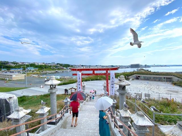 青森県八戸市鮫町　蕪嶋神社　蕪島　階段から海を望む　傘をさしてフンを防ぐ