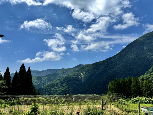 春日笹又地区 薬草園