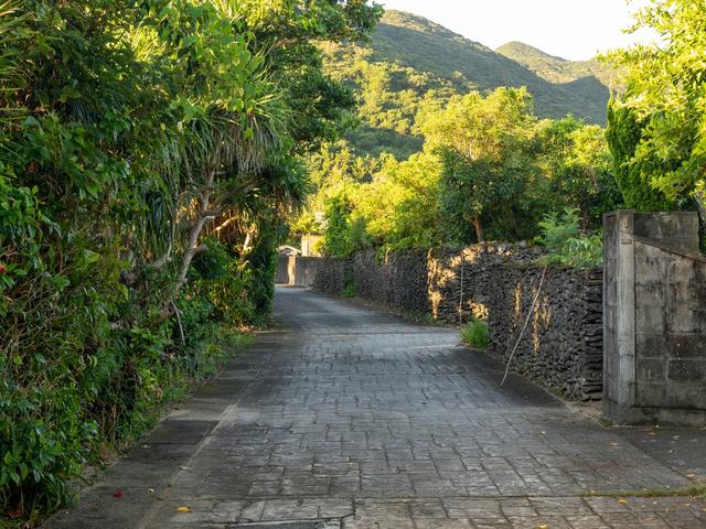 朝の歩道