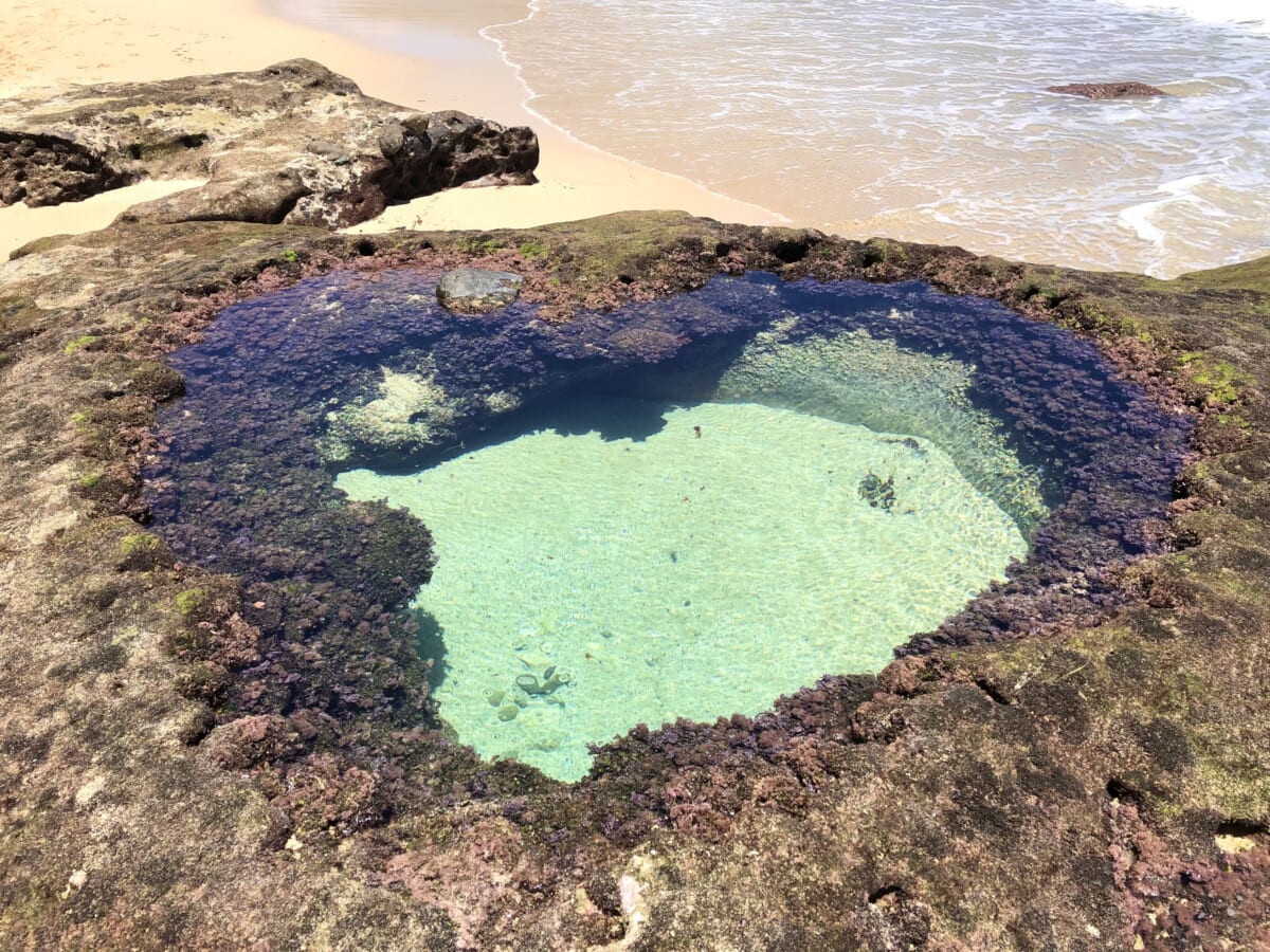 奄美大島　ハートロック