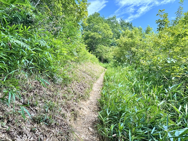 天空の遊歩道　細い道もある