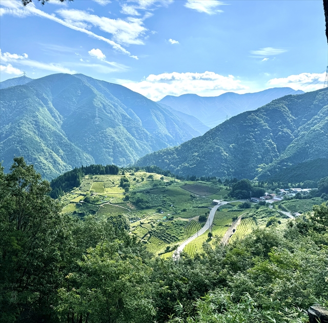 岐阜のマチュピチュ 天空の茶畑 B地点