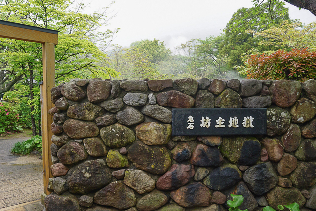 べっぷ地獄めぐり　鬼石坊主地獄1