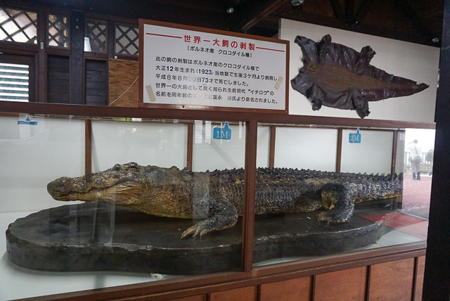 べっぷ地獄めぐり　鬼山地獄4