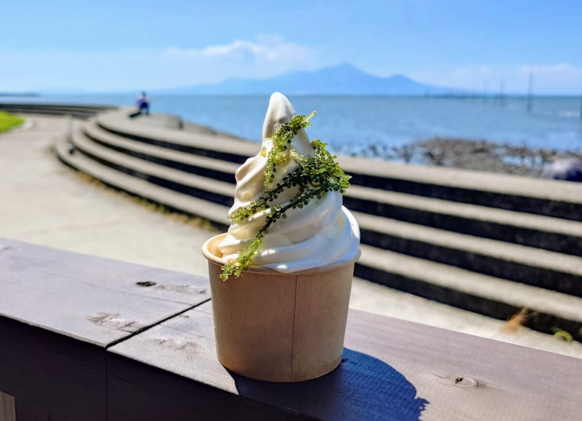 熊本県宇土市・住吉海岸公園「長部田海床路」OKAGESAMA MOBA（海ぶどうトッピングのソフトクリーム）