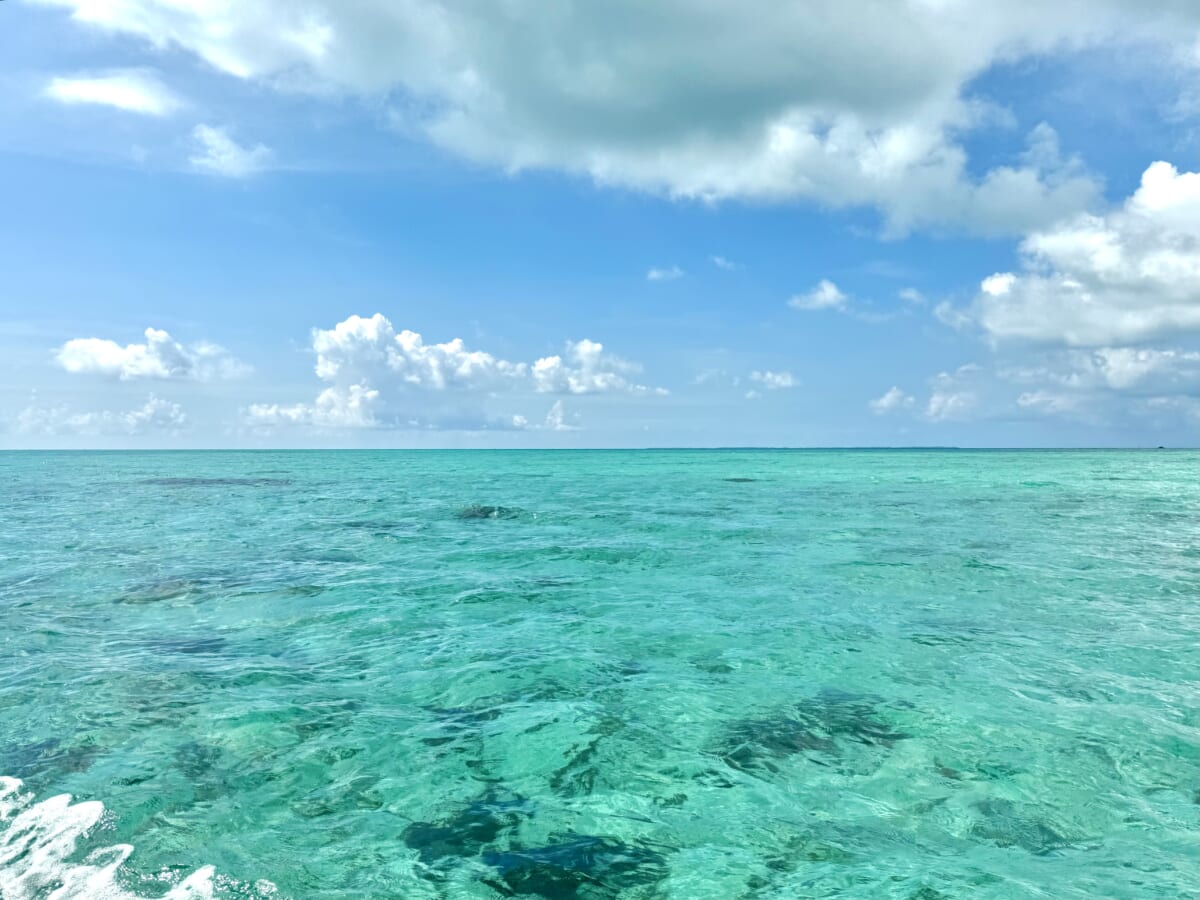 浜島付近の海の様子