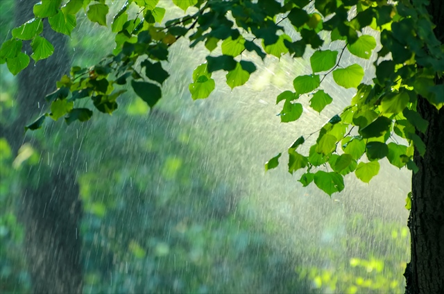 天気雨