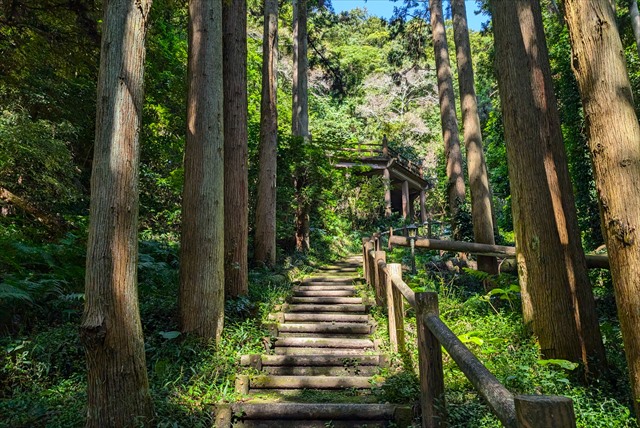 伏姫籠穴 遊歩道