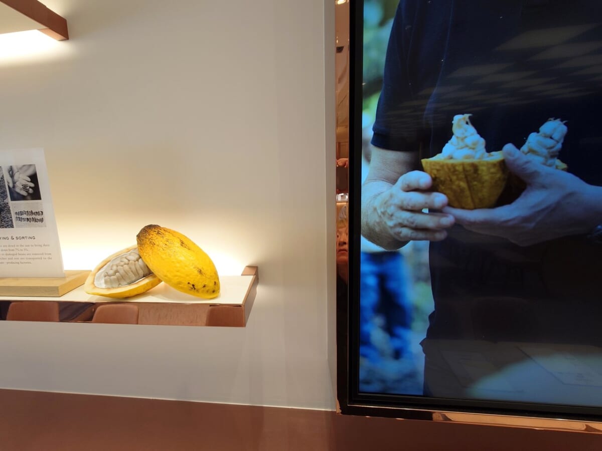 東京都中央区・ピエール マルコリーニ コレド室町テラス店（店内）3