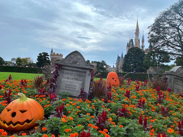 東京ディズニーランド　ハロウィーン　2024　フォトスポット　シンデレラ城　花壇　墓