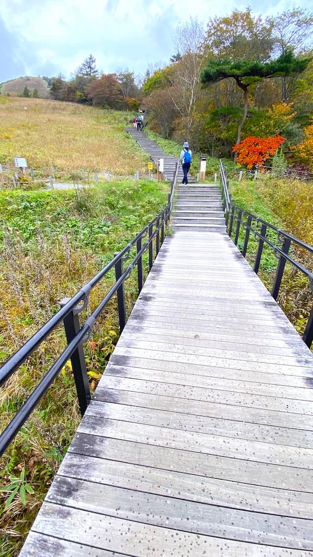 栃木県　日光　天空回廊　キスゲ平園地　霧降高原　スタート