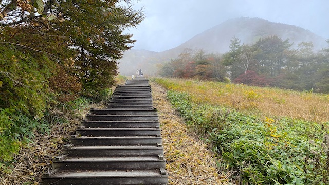 栃木県　日光　天空回廊　キスゲ平園地　霧降高原　400段を過ぎたあたり　視界が開ける