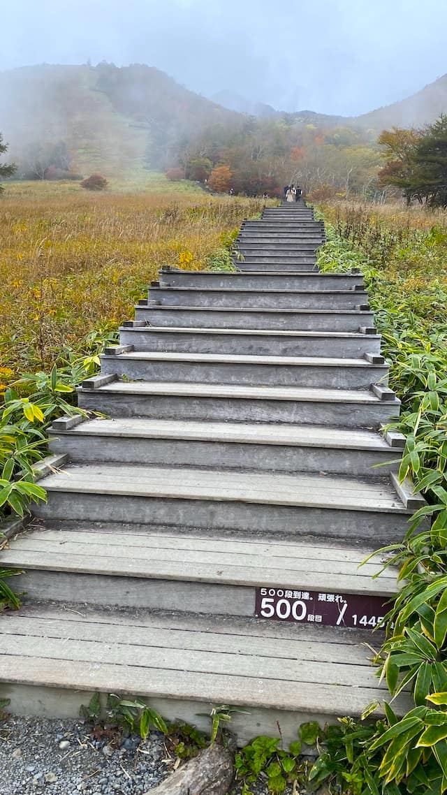 栃木県　日光　天空回廊　キスゲ平園地　霧降高原　500段 見晴らし最高