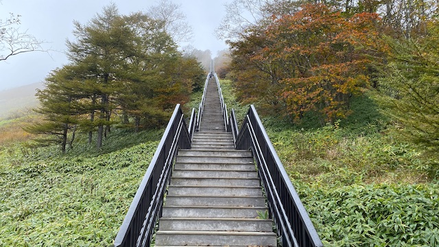 栃木県　日光　天空回廊　キスゲ平園地　霧降高原　階段を見上げる2
