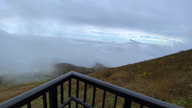 栃木県　日光　天空回廊　キスゲ平園地　霧降高原　P地点　展望デッキ2 景色