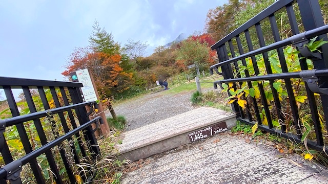 栃木県　日光　天空回廊　キスゲ平園地　霧降高原　ゴール