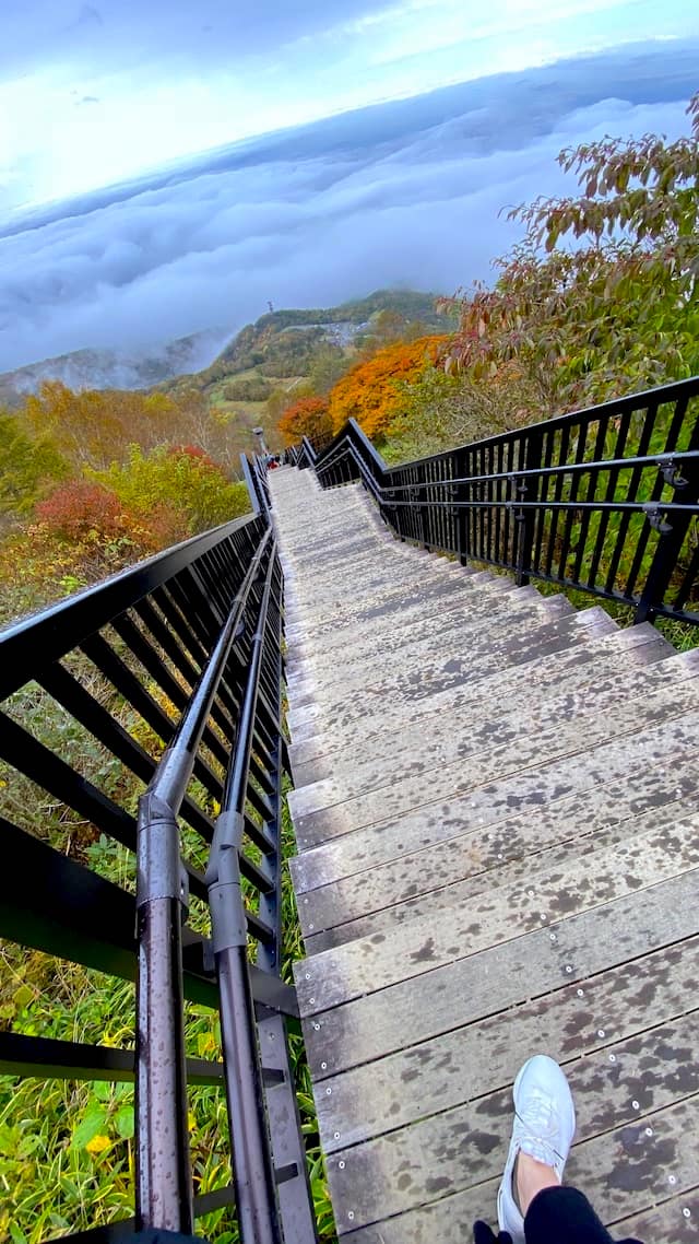 栃木県　日光　天空回廊　キスゲ平園地　霧降高原　縦 3