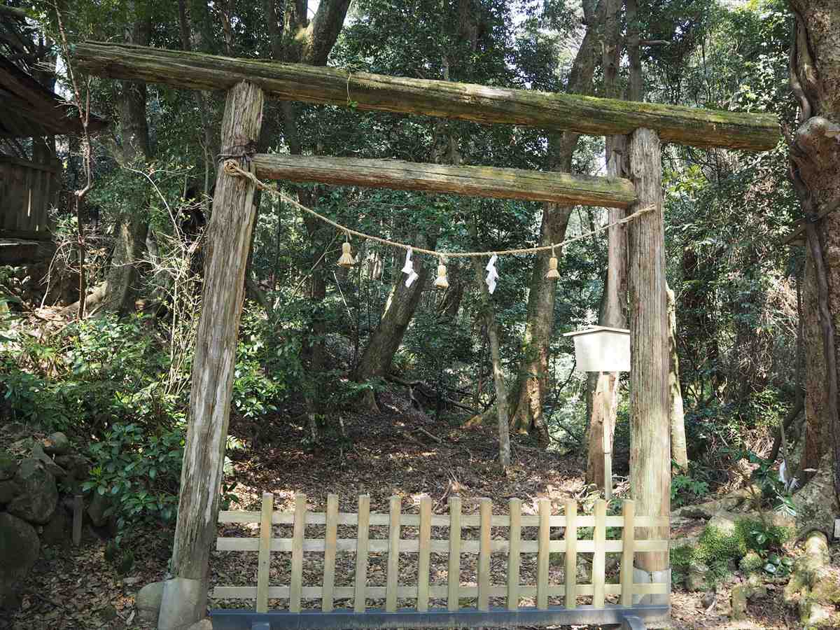 氣多大社　社叢　鳥居