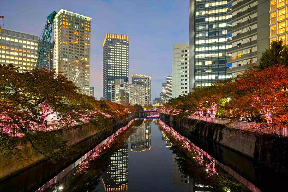 目黒川イルミネーション　夜景