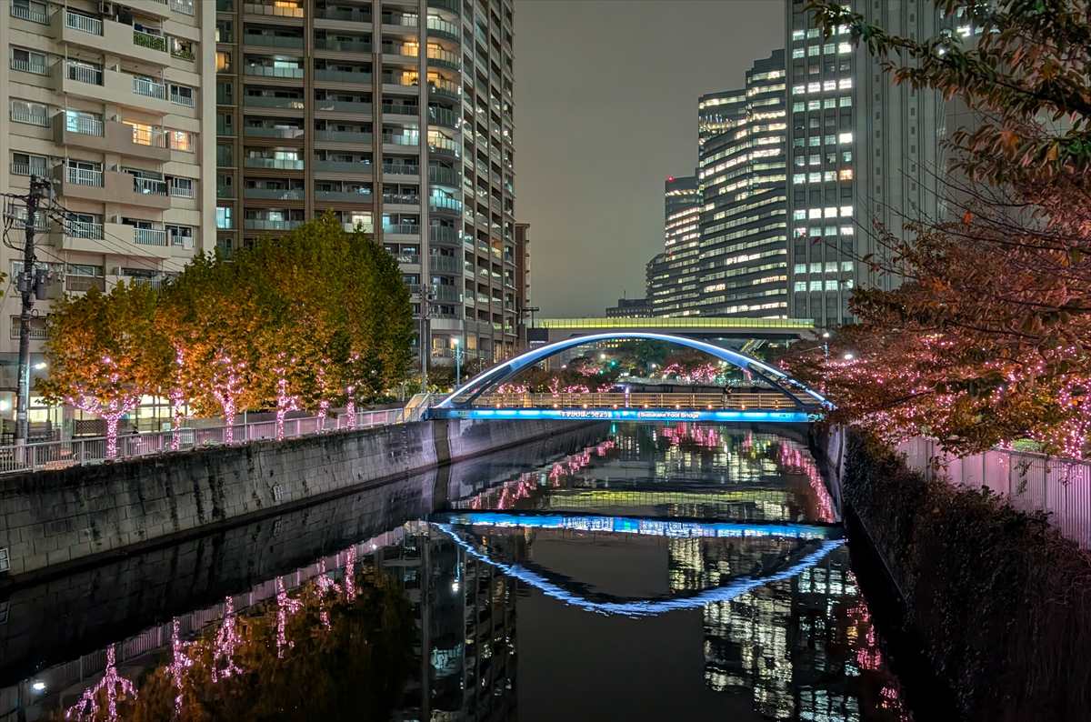 目黒川イルミネーション　夜景6