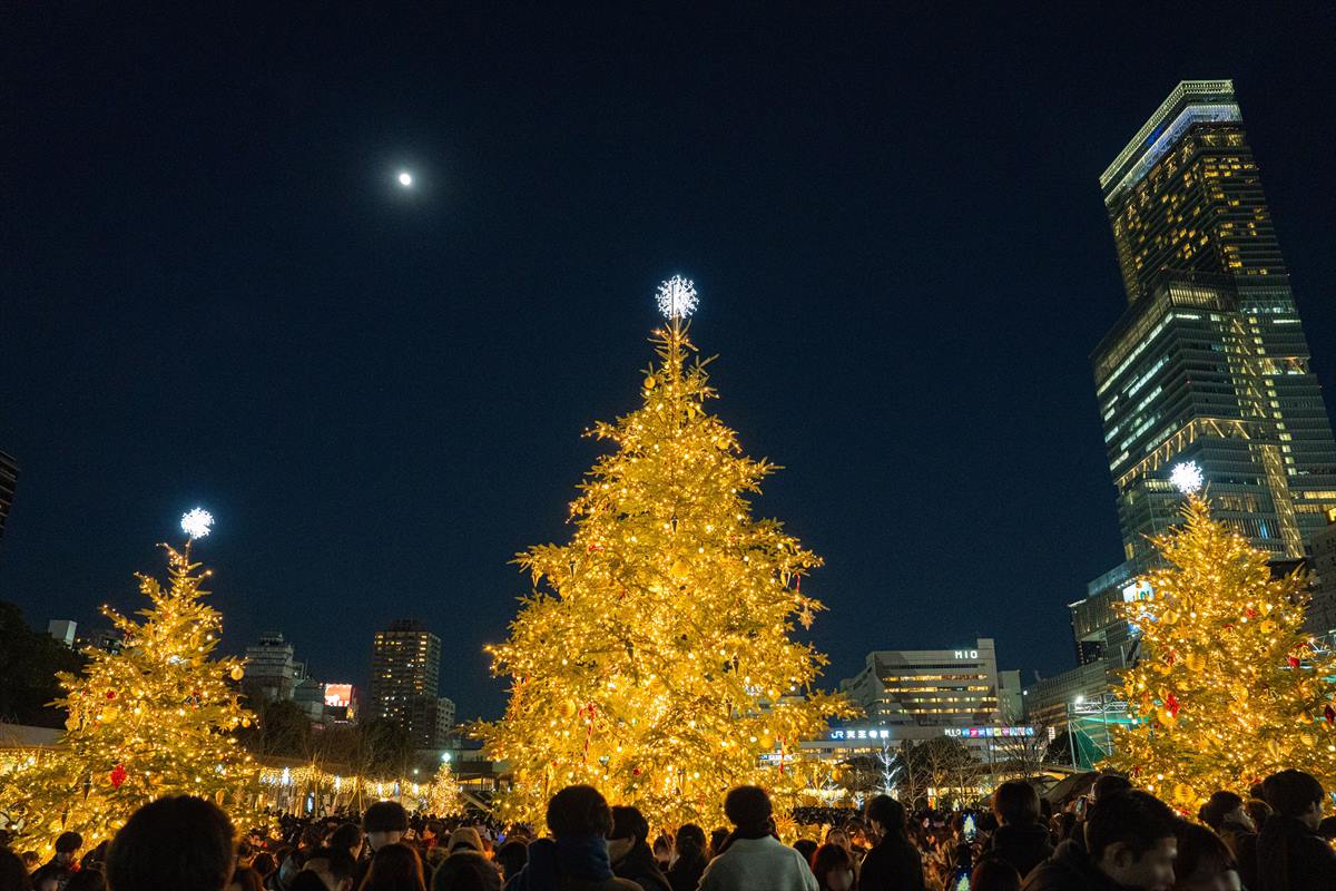 クリスマスマーケット in 大阪 てんしば 2024　ツリー群