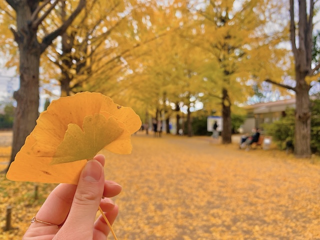 銀杏を持って撮影