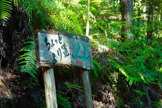 熊野古道の看板