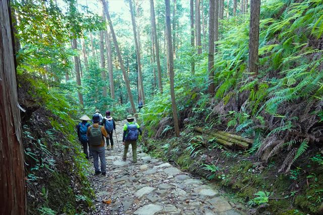 熊野古道の道中4