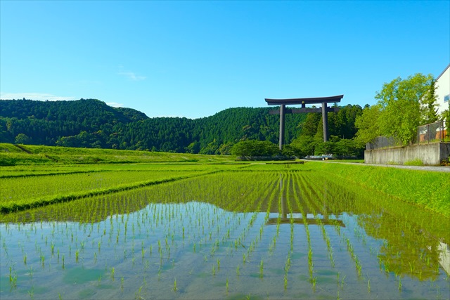 大斎原遠くからの景色