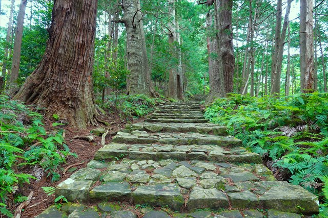 大門坂　階段の様子