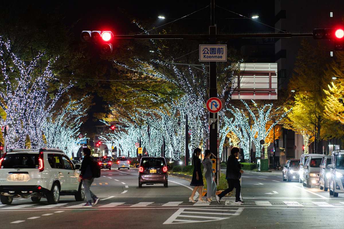 KEYAKI LIGHT PARADE by FeStA LuCe