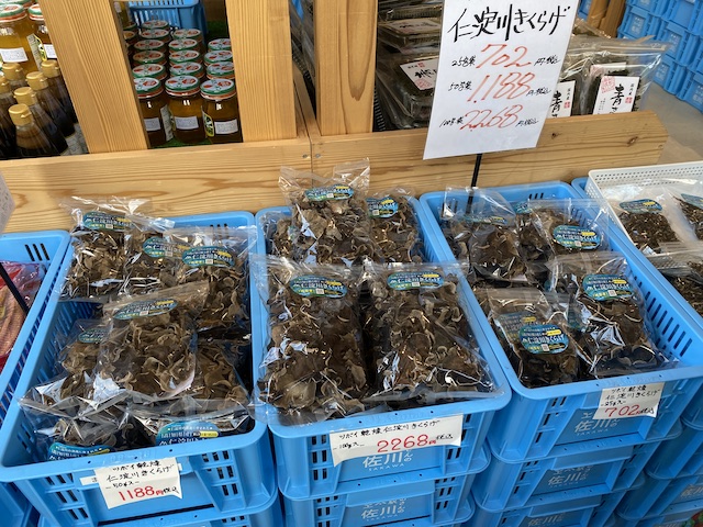 まきのさんの道の駅・佐川　 仁淀川きくらげ
