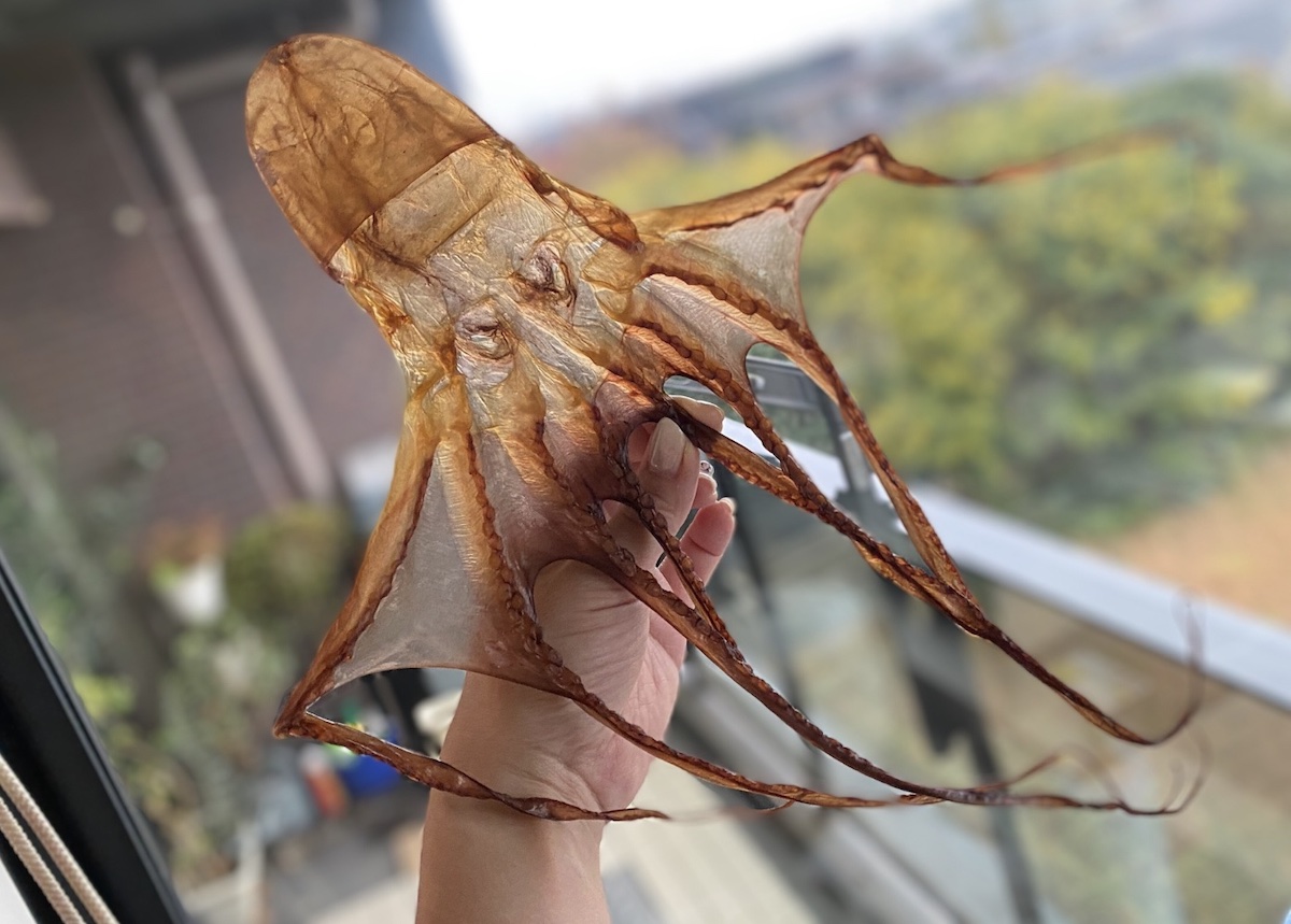 日間賀島の干しだこでタコ飯作ってみた＜愛知県の縁起のいいお土産＞【編集部ブログ】